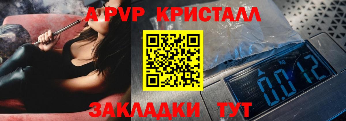 A PVP VHQ Котлас