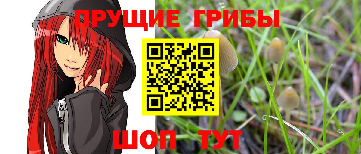 Псилоцибиновые грибы Psilocybine cubensis  Вход с VPN  Котлас 